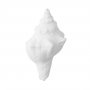 Serafina Simpukka 7cm valkoinen