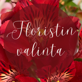 Floristin valinta - Punaisin sävyin